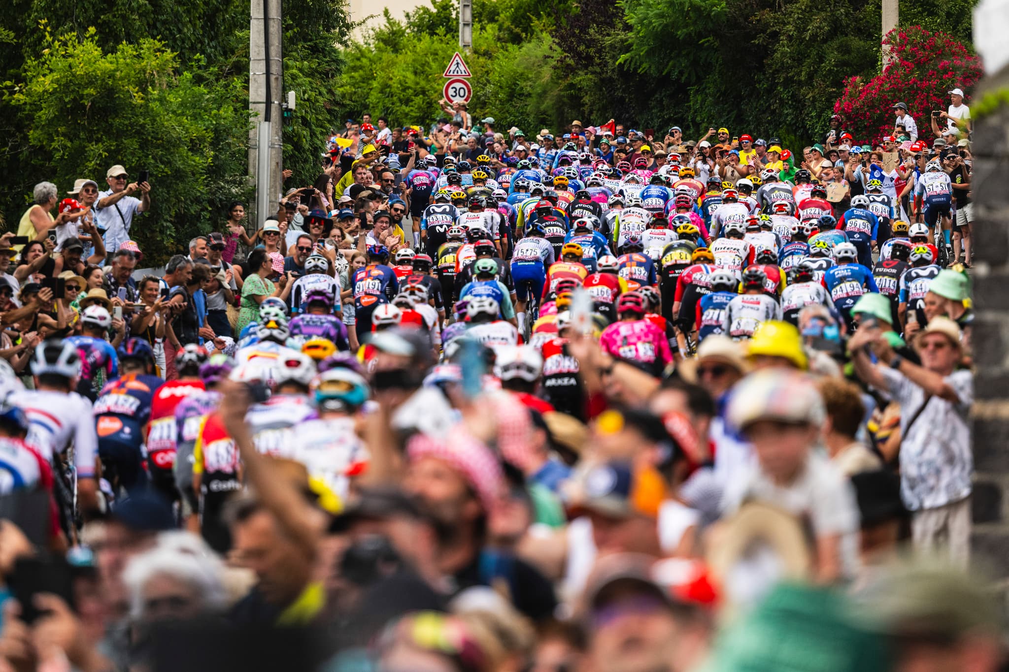 Peloton climbs a hill at the Tour de France 2025, crowds line the road
